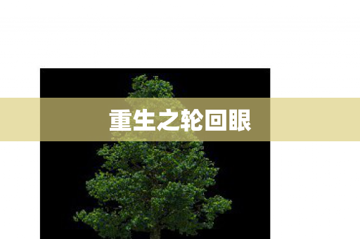 重生之轮回眼图片