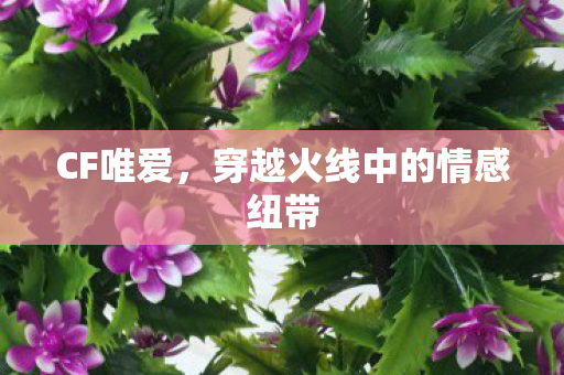 穿越火线中的情感纽带图片