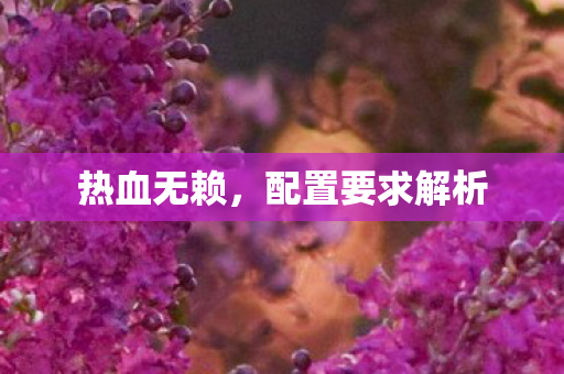配置要求解析图片