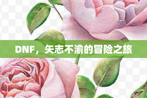 矢志不渝的冒险之旅图片