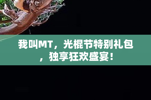 光棍节特别礼包图片
