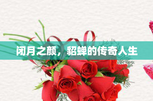 貂蝉的传奇人生图片