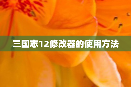 三国志12修改器的使用方法图片
