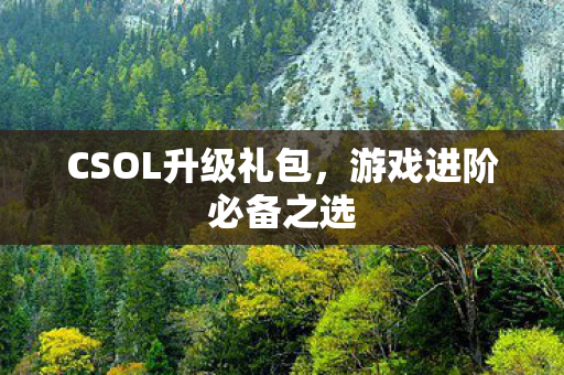 CSOL升级礼包图片