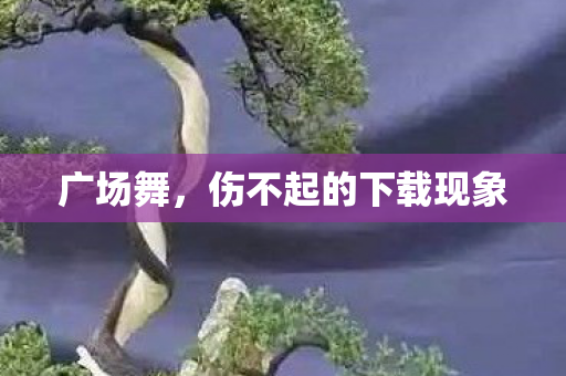 伤不起的下载现象图片