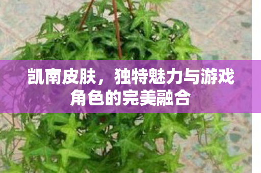 独特魅力与游戏角色的完美融合图片