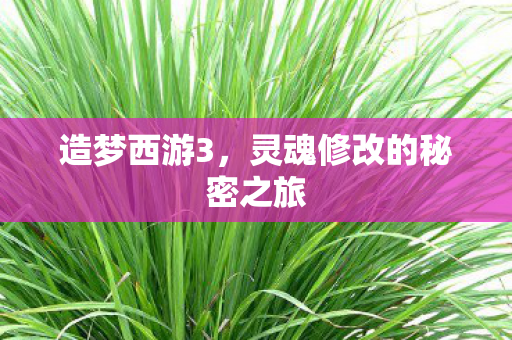 灵魂修改的秘密之旅图片