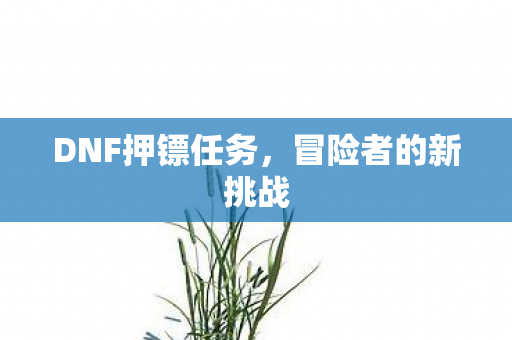 DNF押镖任务图片