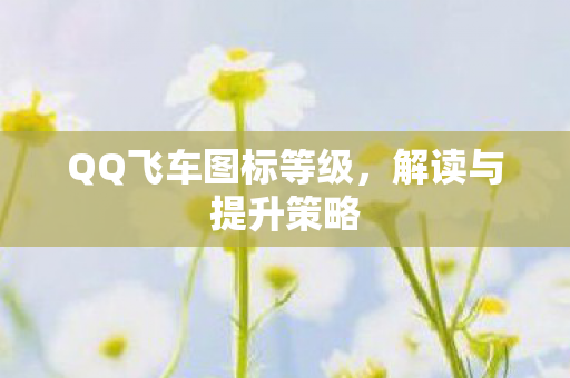 QQ飞车图标等级图片