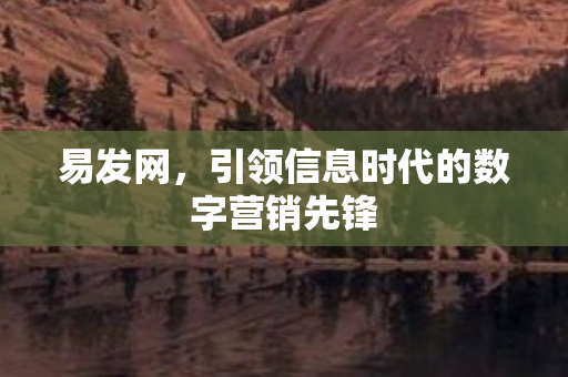 引领信息时代的数字营销先锋图片