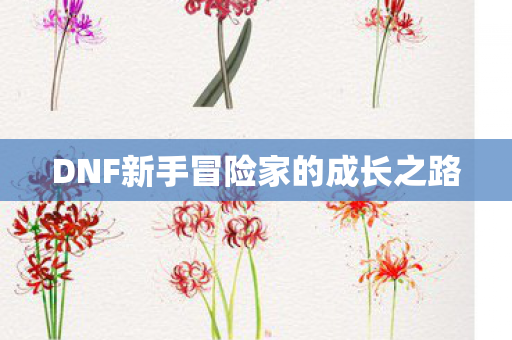 DNF新手冒险家的成长之路图片
