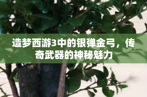 造梦西游3中的银弹金弓图片