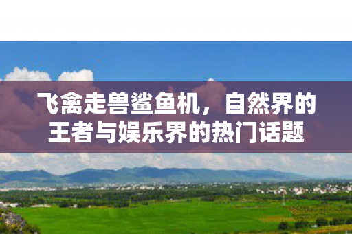 自然界的王者与娱乐界的热门话题图片