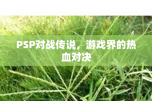 游戏界的热血对决图片