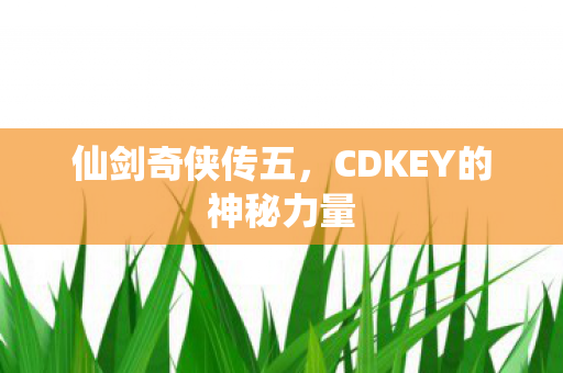 CDKEY的神秘力量图片