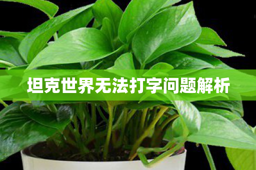 坦克世界无法打字问题解析图片