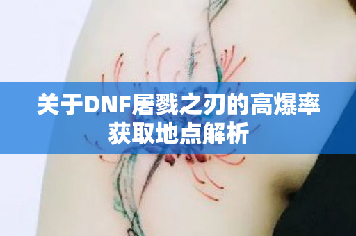 关于DNF屠戮之刃的高爆率获取地点解析图片