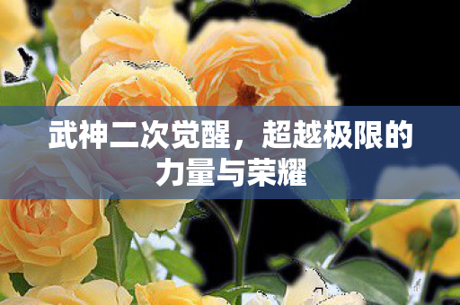 超越极限的力量与荣耀图片