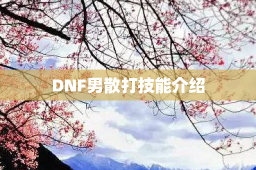 DNF男散打技能介绍图片