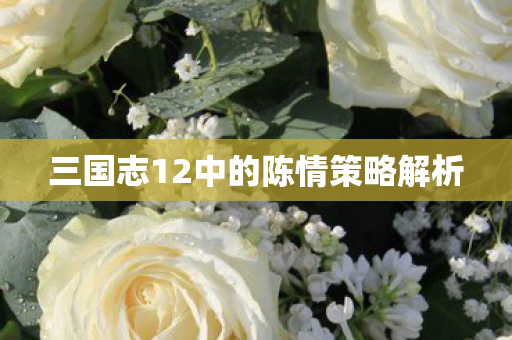 三国志12中的陈情策略解析图片