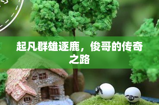俊哥的传奇之路图片