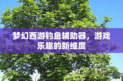 梦幻西游钓鱼辅助器图片