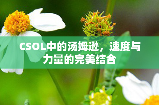 速度与力量的完美结合图片