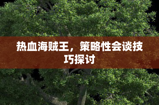 策略性会谈技巧探讨图片