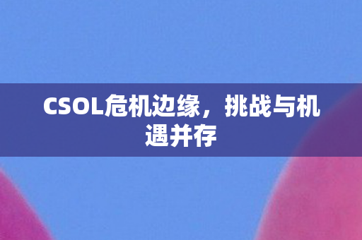 CSOL危机边缘图片