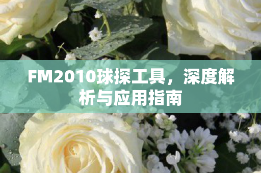 FM2010球探工具图片