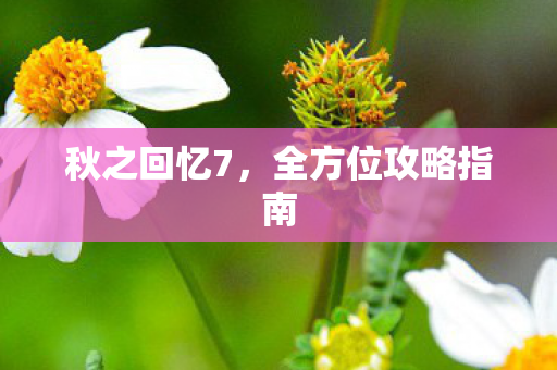 全方位攻略指南图片
