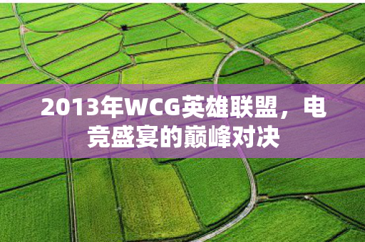 2013年WCG英雄联盟图片