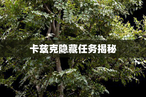卡兹克隐藏任务揭秘图片