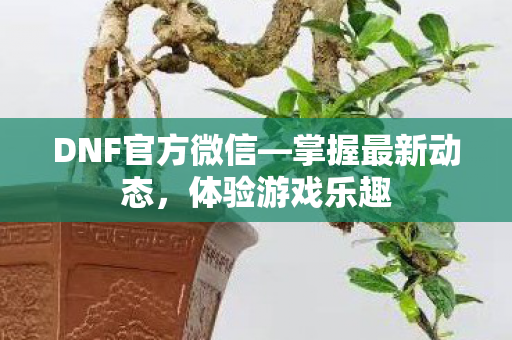 DNF官方微信图片