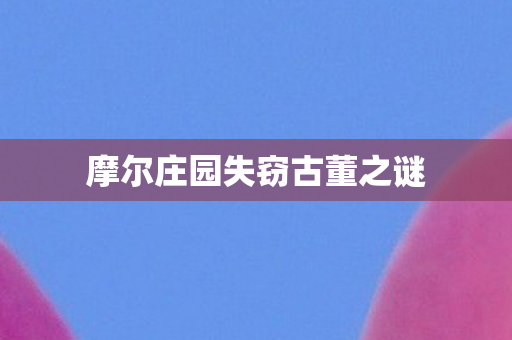 摩尔庄园失窃古董之谜图片