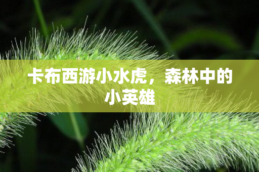 卡布西游小水虎图片