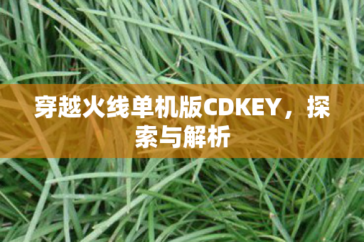 穿越火线单机版CDKEY图片