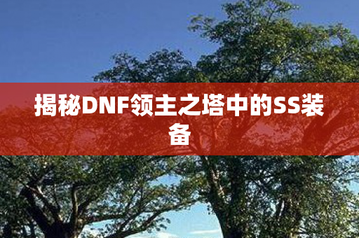 揭秘DNF领主之塔中的SS装备图片