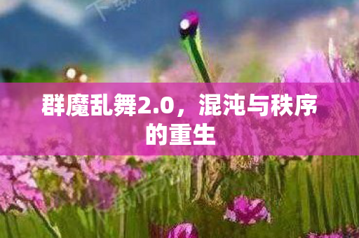 混沌与秩序的重生图片