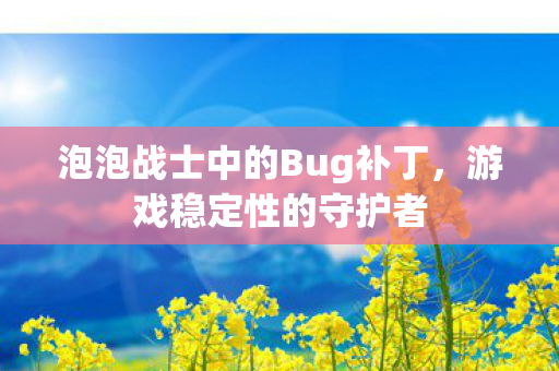 泡泡战士中的Bug补丁图片