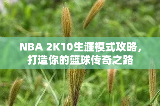 NBA 2K10生涯模式攻略图片