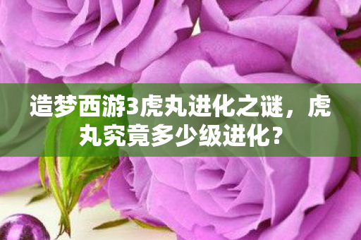 造梦西游3虎丸进化之谜图片