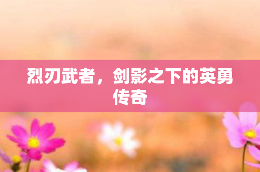 剑影之下的英勇传奇图片