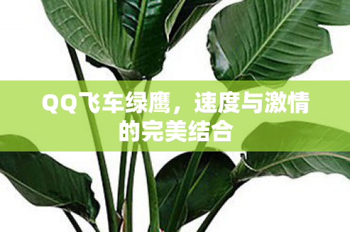 速度与激情的完美结合图片