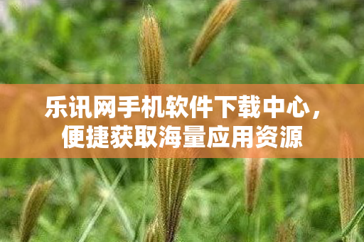 乐讯网手机软件下载中心图片