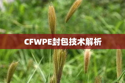 CFWPE封包技术解析图片