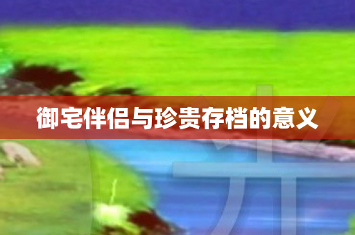 御宅伴侣与珍贵存档的意义图片