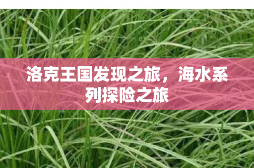 洛克王国发现之旅图片