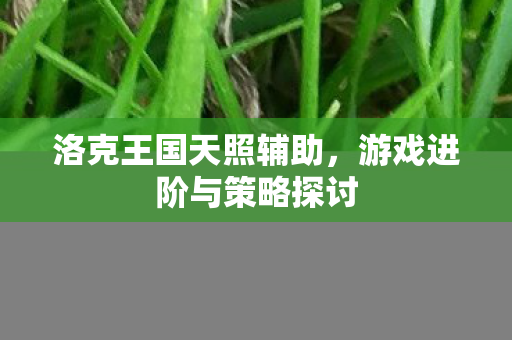 游戏进阶与策略探讨图片