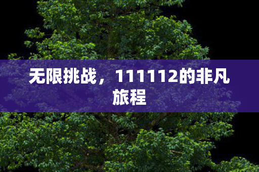 111112的非凡旅程图片